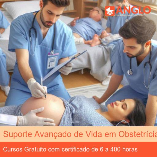 Suporte Avançado de Vida em Obstetrícia (ALSO)